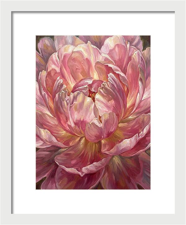 Pink Peony Bloom