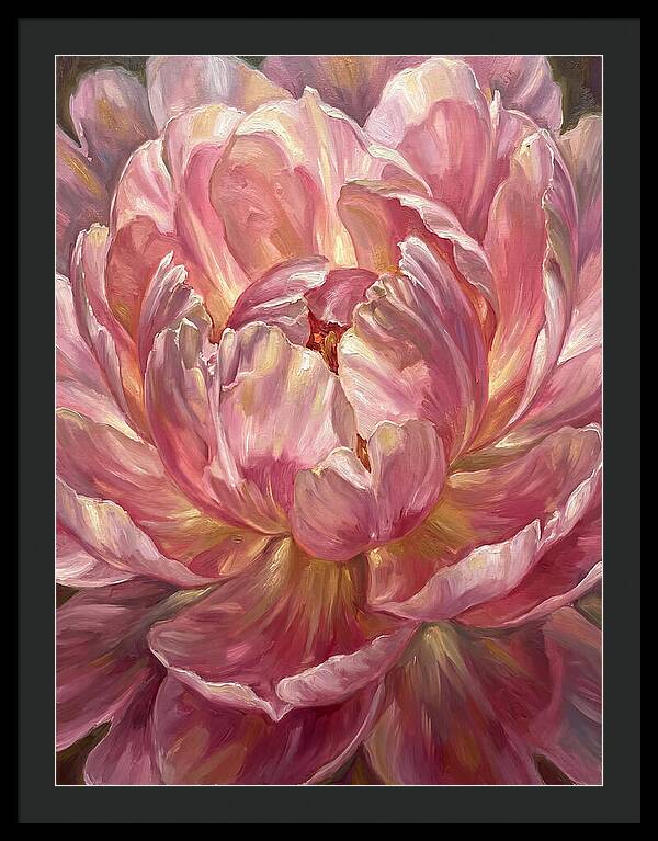 Pink Peony Bloom
