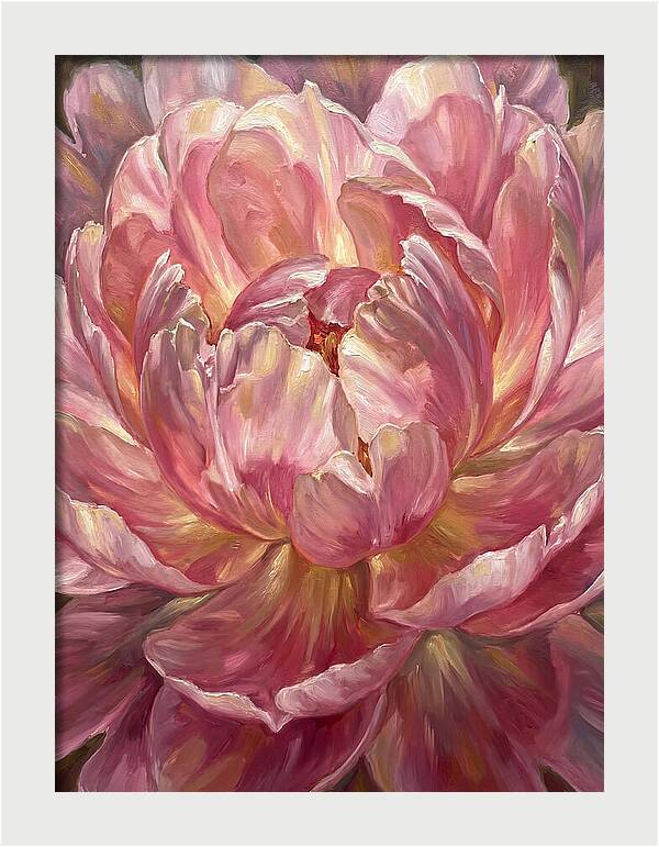 Pink Peony Bloom