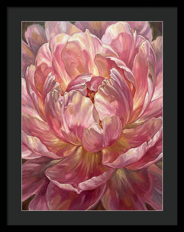 Pink Peony Bloom