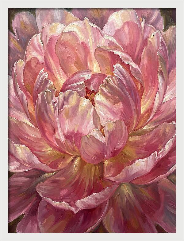 Pink Peony Bloom