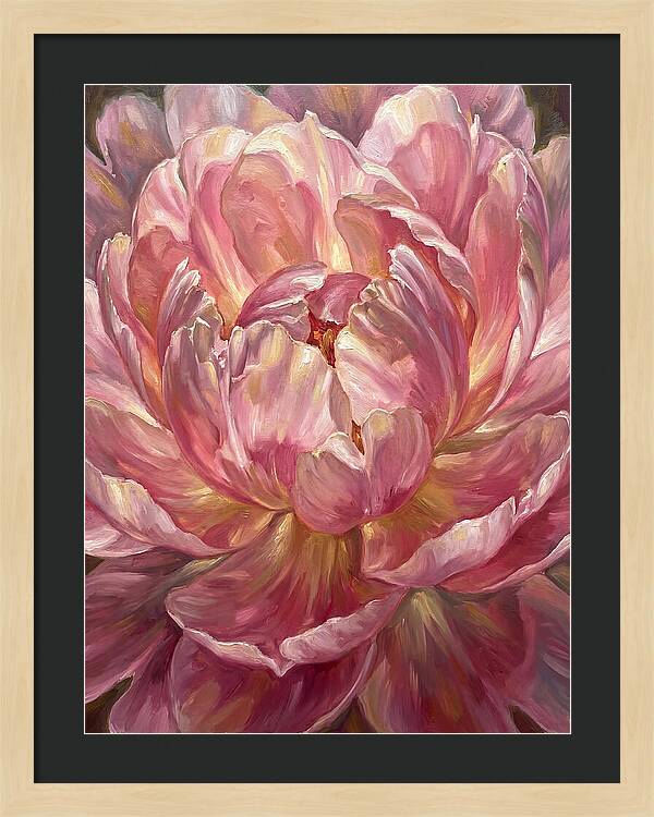 Pink Peony Bloom