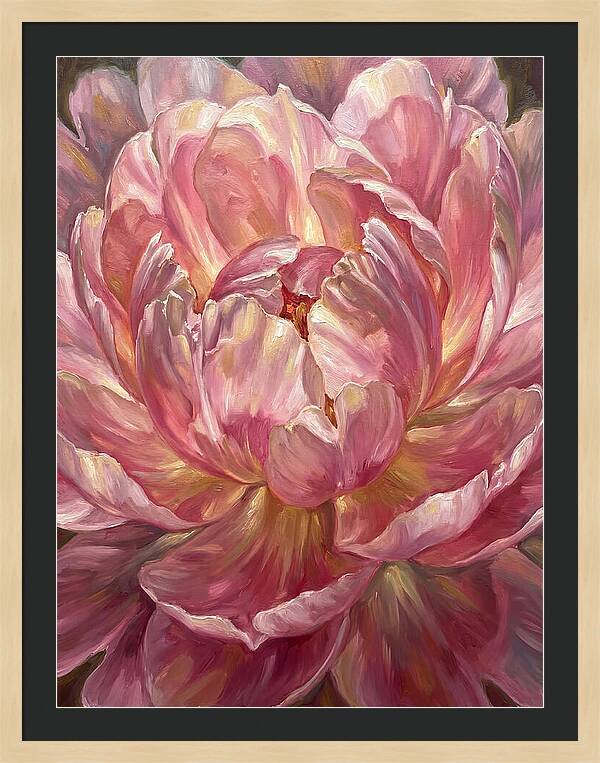 Pink Peony Bloom