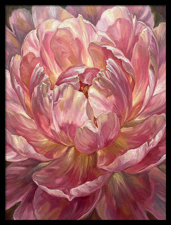 Pink Peony Bloom