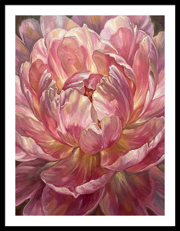Pink Peony Bloom