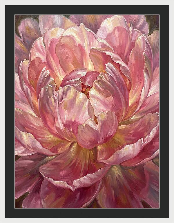 Pink Peony Bloom