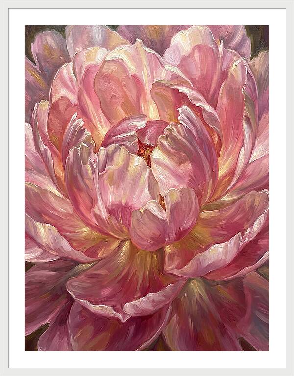 Pink Peony Bloom