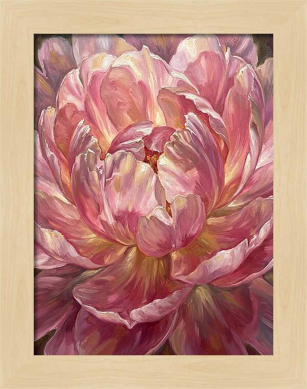 Pink Peony Bloom