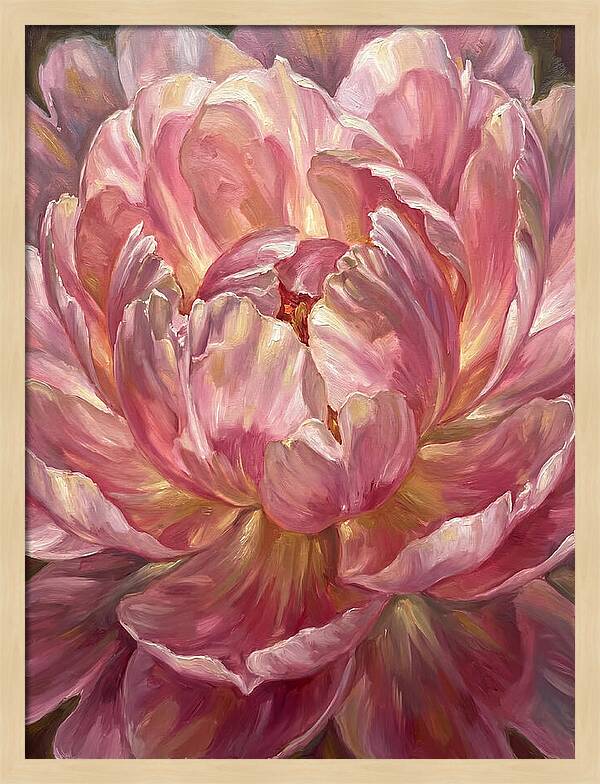 Pink Peony Bloom