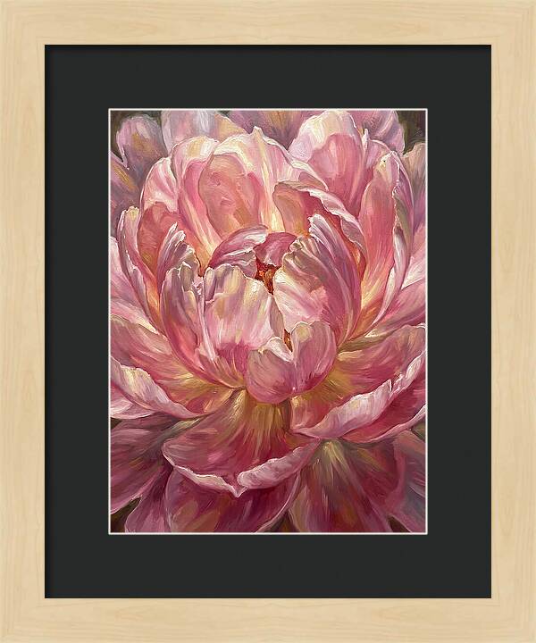 Pink Peony Bloom