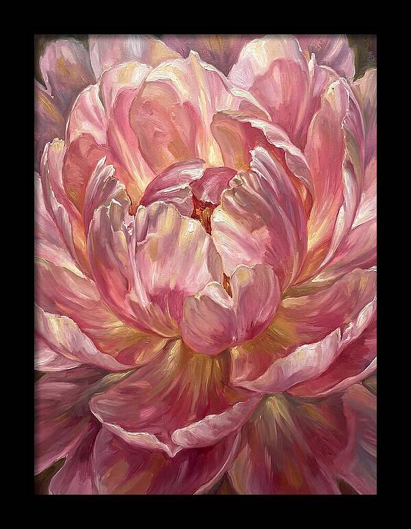 Pink Peony Bloom
