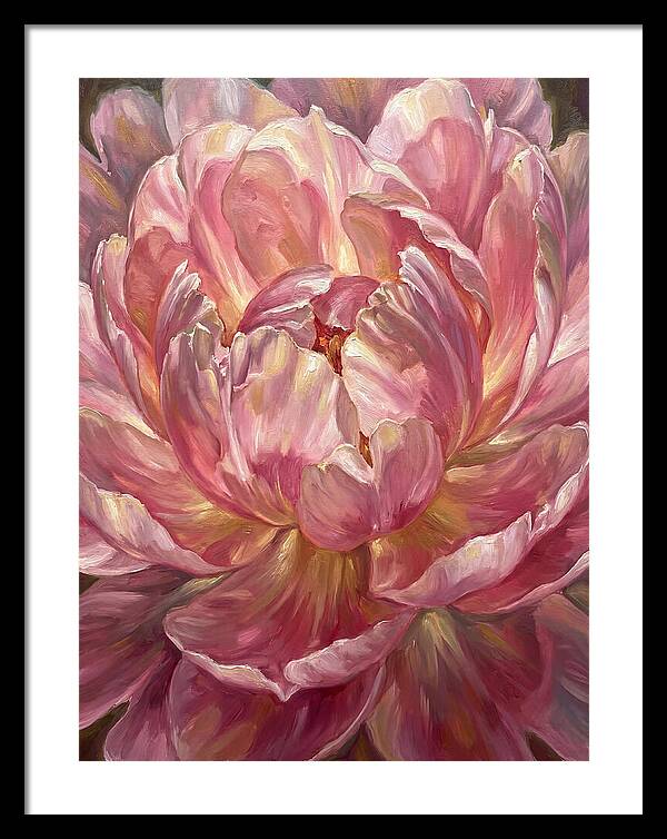 Pink Peony Bloom