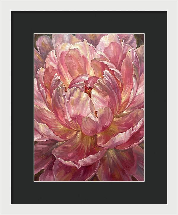 Pink Peony Bloom