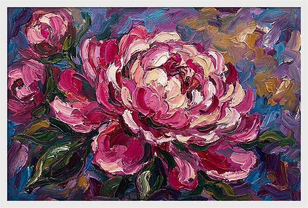 Pink Peony Blooming Beauty