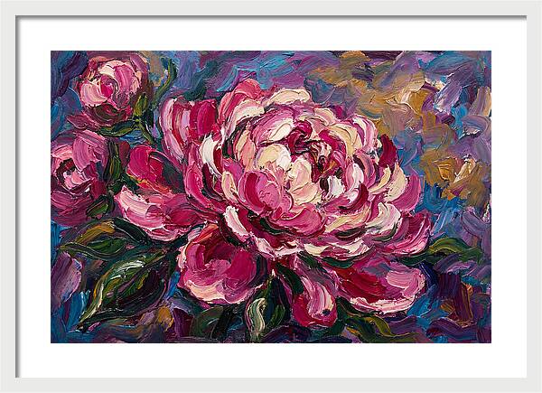 Pink Peony Blooming Beauty