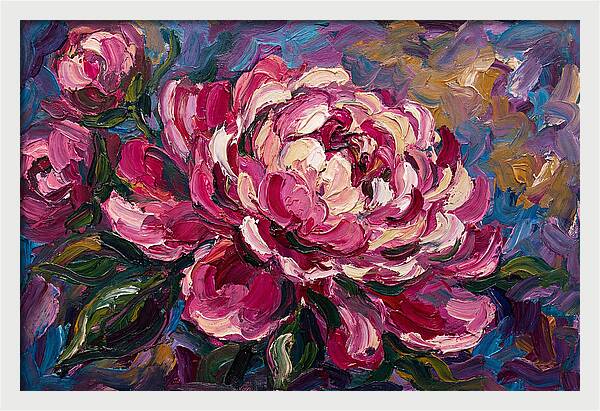 Pink Peony Blooming Beauty