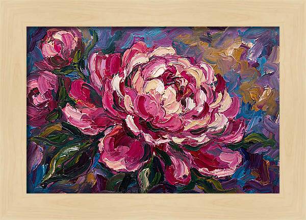 Pink Peony Blooming Beauty