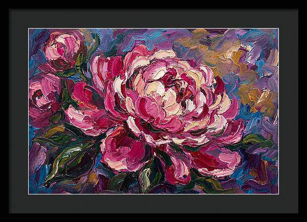 Pink Peony Blooming Beauty