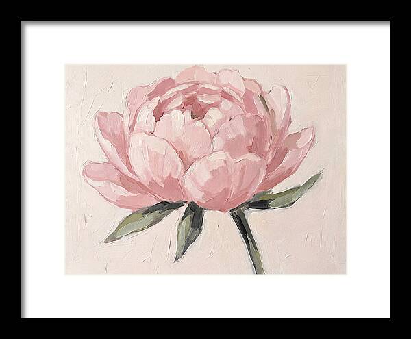 Pink Peony Blossom