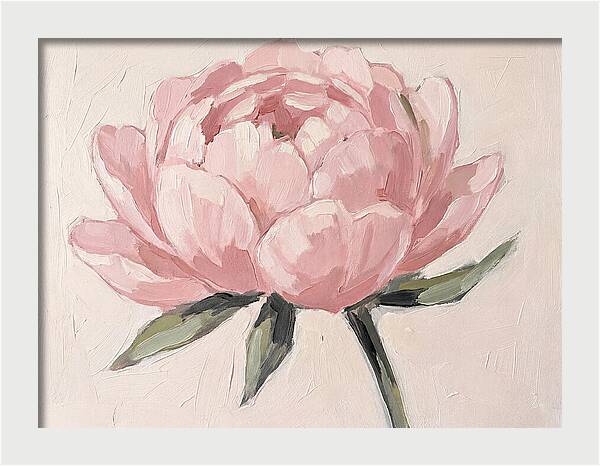 Pink Peony Blossom