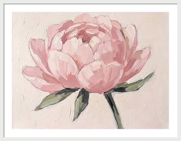 Pink Peony Blossom