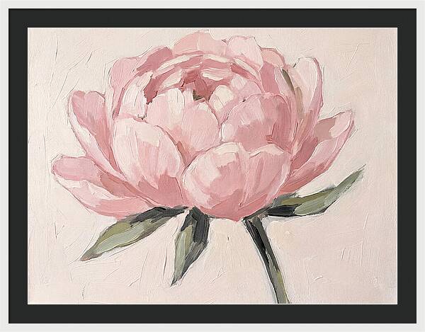 Pink Peony Blossom