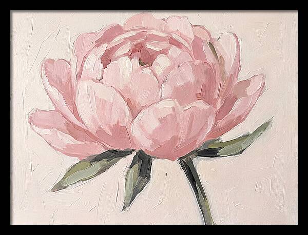Pink Peony Blossom