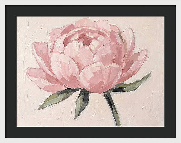 Pink Peony Blossom