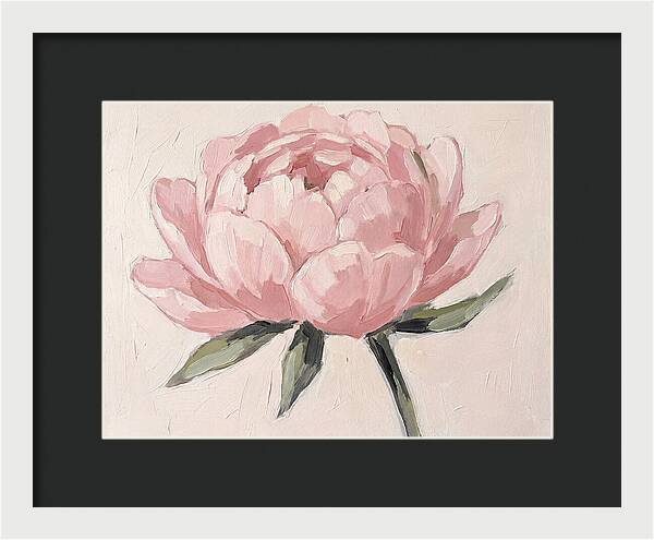 Pink Peony Blossom