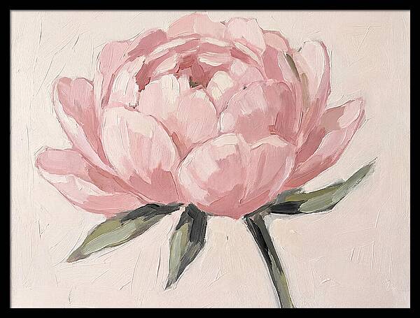 Pink Peony Blossom