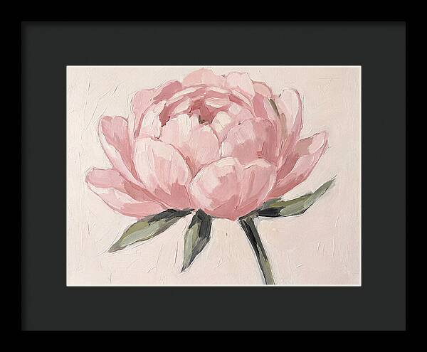 Pink Peony Blossom