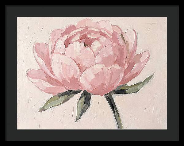 Pink Peony Blossom