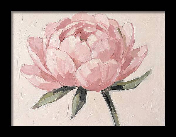 Pink Peony Blossom