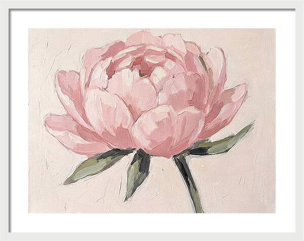 Pink Peony Blossom