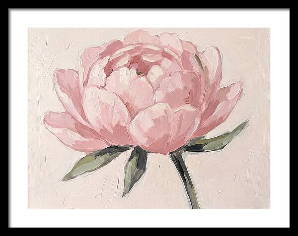 Pink Peony Blossom
