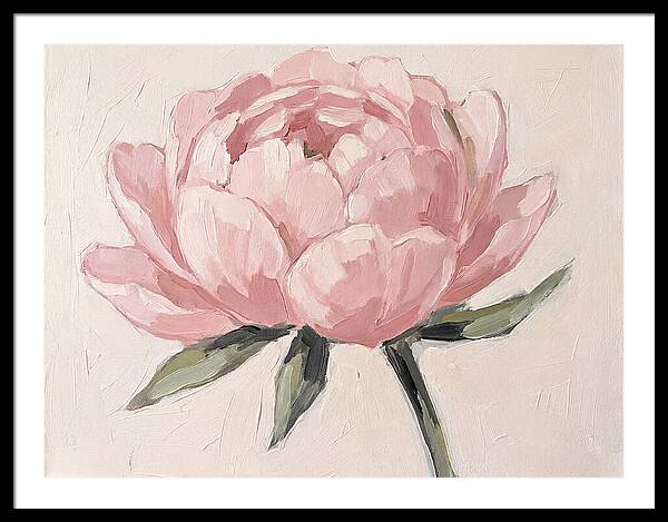 Pink Peony Blossom