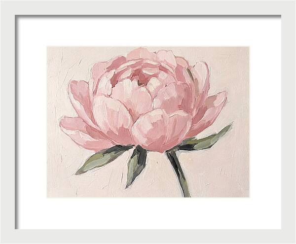 Pink Peony Blossom