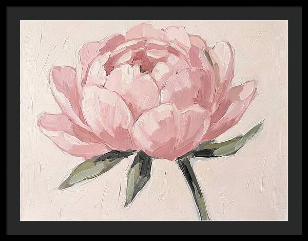 Pink Peony Blossom