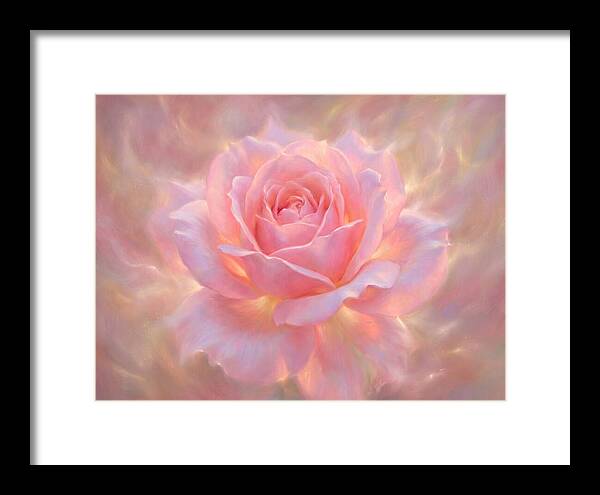 Pink Rose Blossom