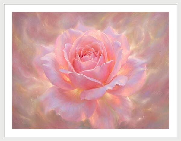 Pink Rose Blossom