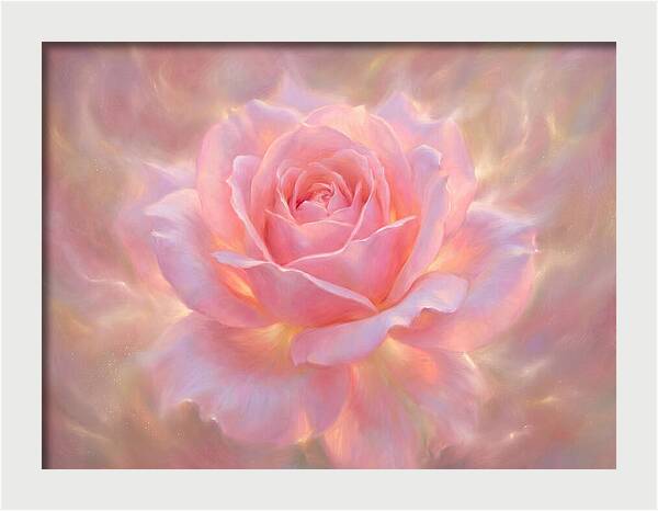 Pink Rose Blossom