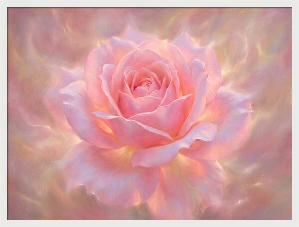 Pink Rose Blossom