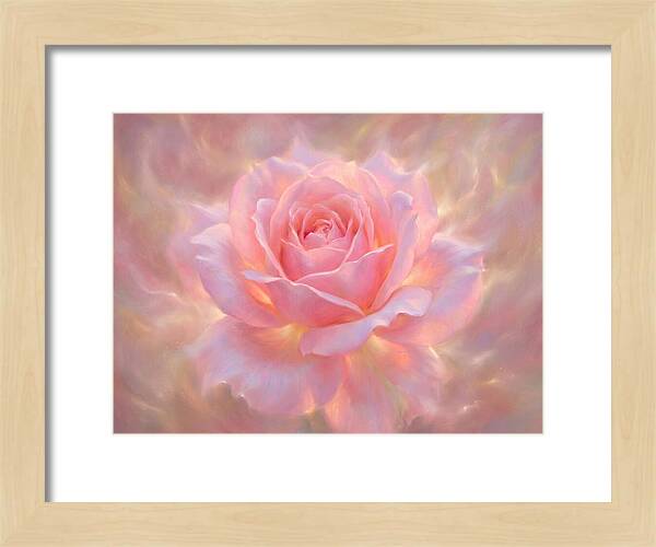 Pink Rose Blossom