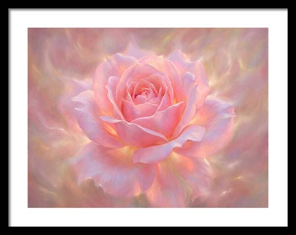 Pink Rose Blossom