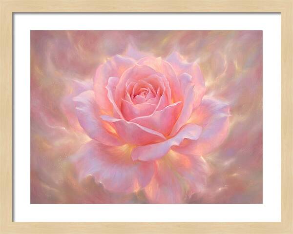 Pink Rose Blossom
