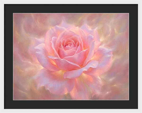 Pink Rose Blossom