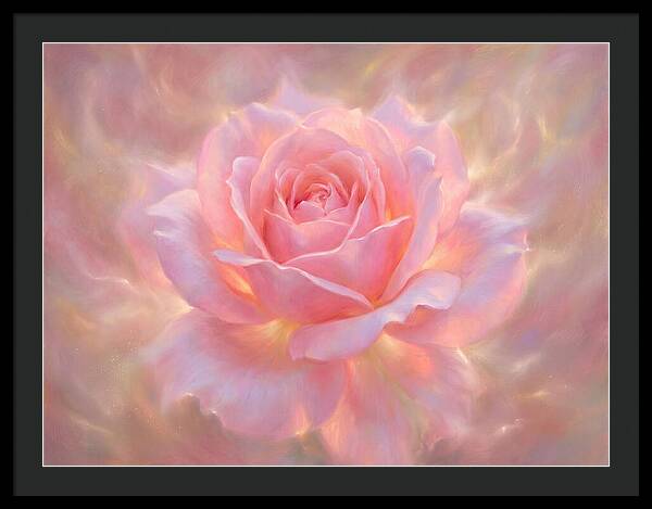 Pink Rose Blossom