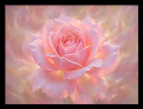 Pink Rose Blossom