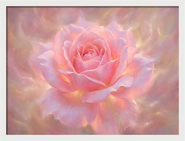 Pink Rose Blossom