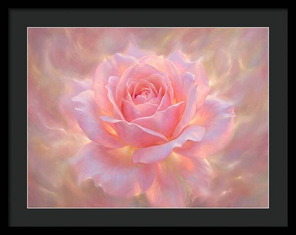 Pink Rose Blossom